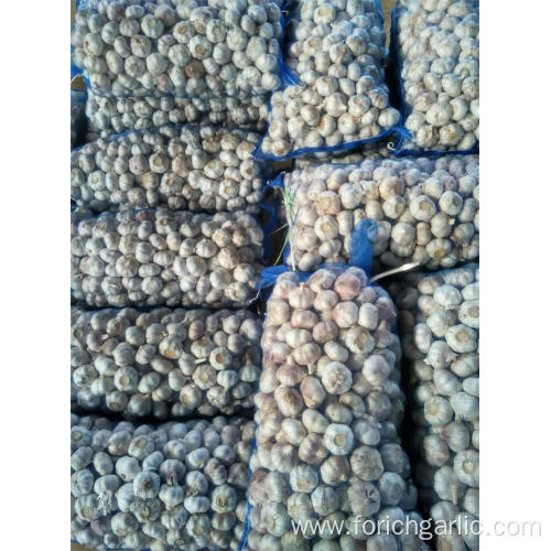 Loose packing Normal White Garlic 10kg mesh bag